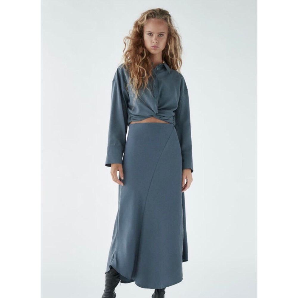 NWT Zara Skirt